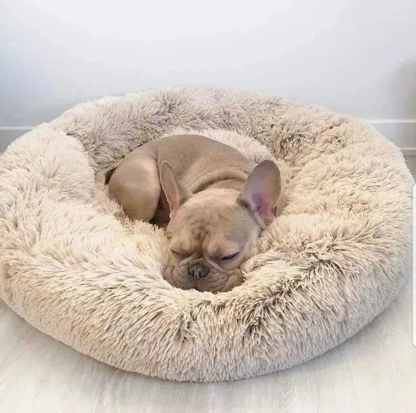 Empty anti-anxiety pet bed, inviting and soft, ready for deep sleep, pet supplies.