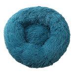 Cyan-Blue