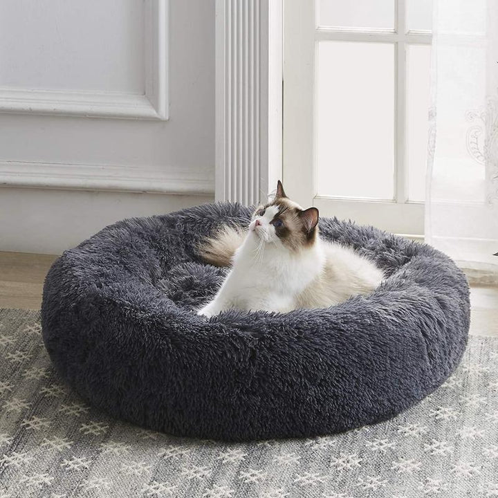 Machine washable calming cat bed, plush fabric, raised rim for security