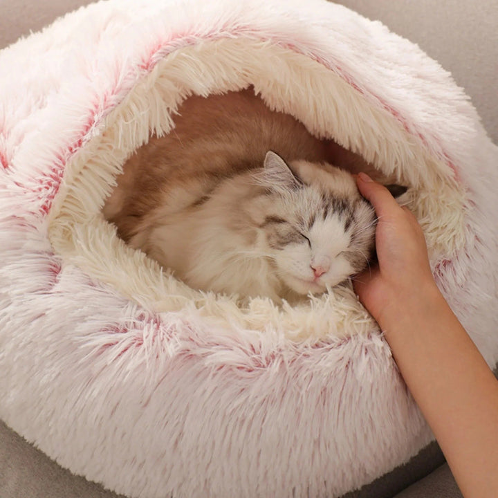 Calming cat bed with a cat toy placed inside, inviting play and rest