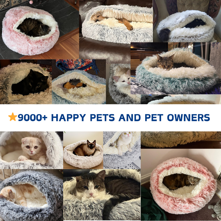 Cute kitten peeking out from the plush comforting walls of the pet nest bed