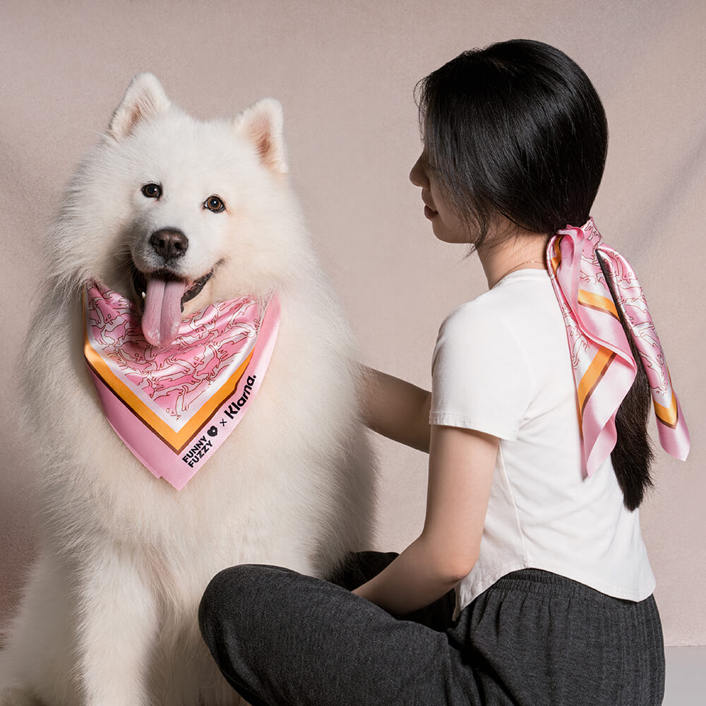 Dog car seat with an integrated safety harness attachment point for secure pet travel.