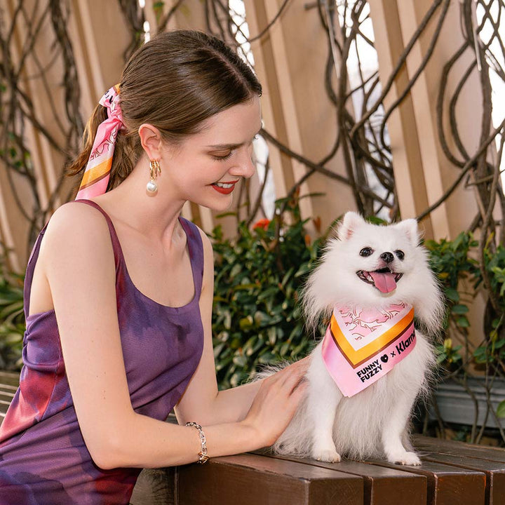 Easy-to-install dog car seat with a matching pet scarf, essential for car safety and style.