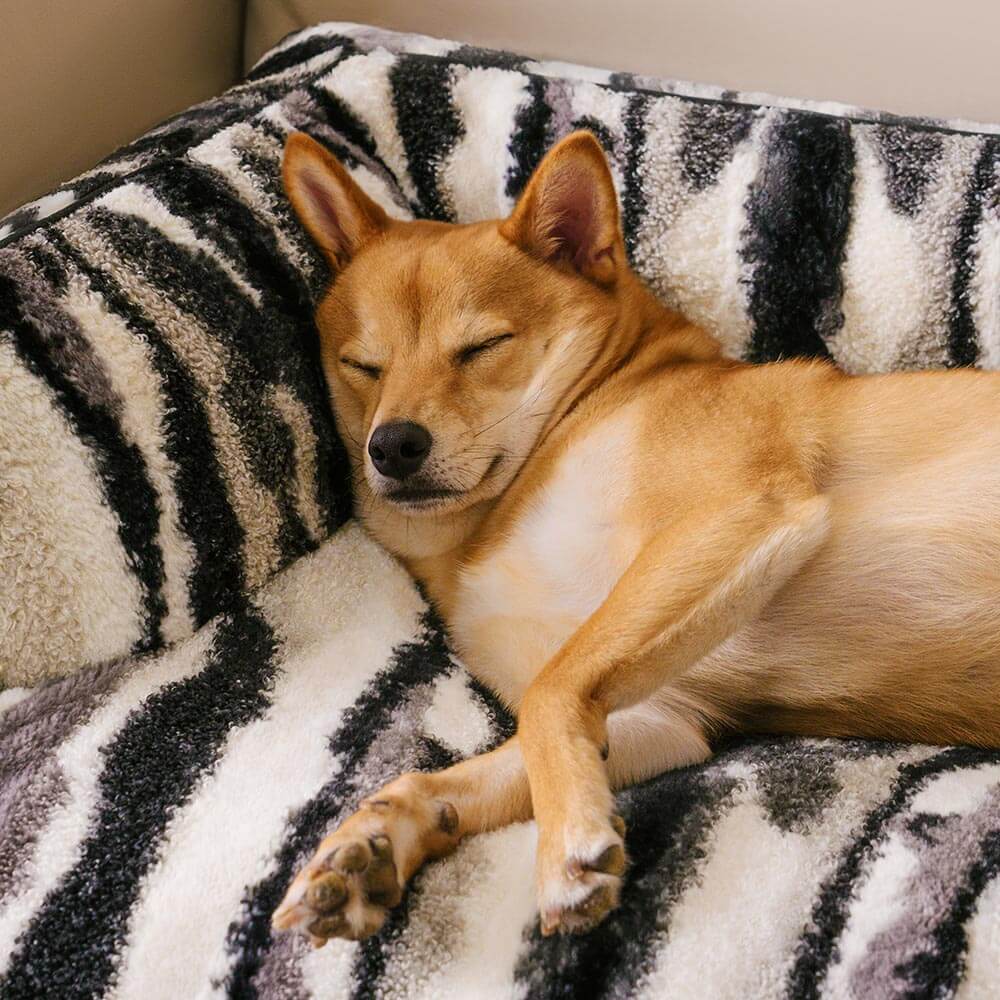 Dog enjoying a nap on a plush sofa protector, comfort for pets and clean furniture.