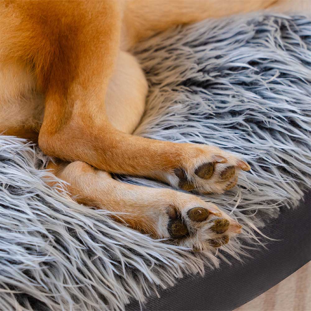 Fluffy dog bed next to a window, emphasizing a cozy spot for a pet to relax.