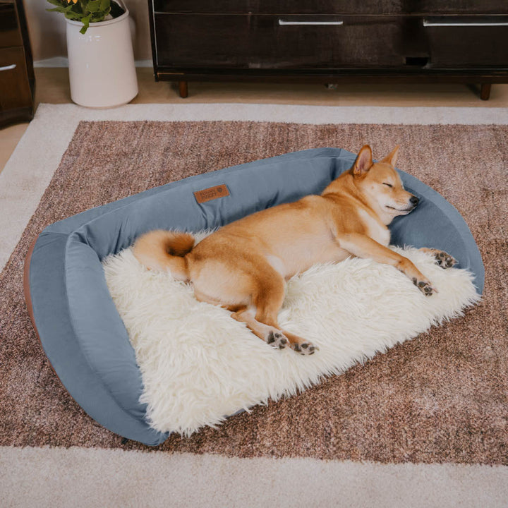 Dog comfortably sleeping on a grey fluffy bolster dog bed, showcasing pet comfort.