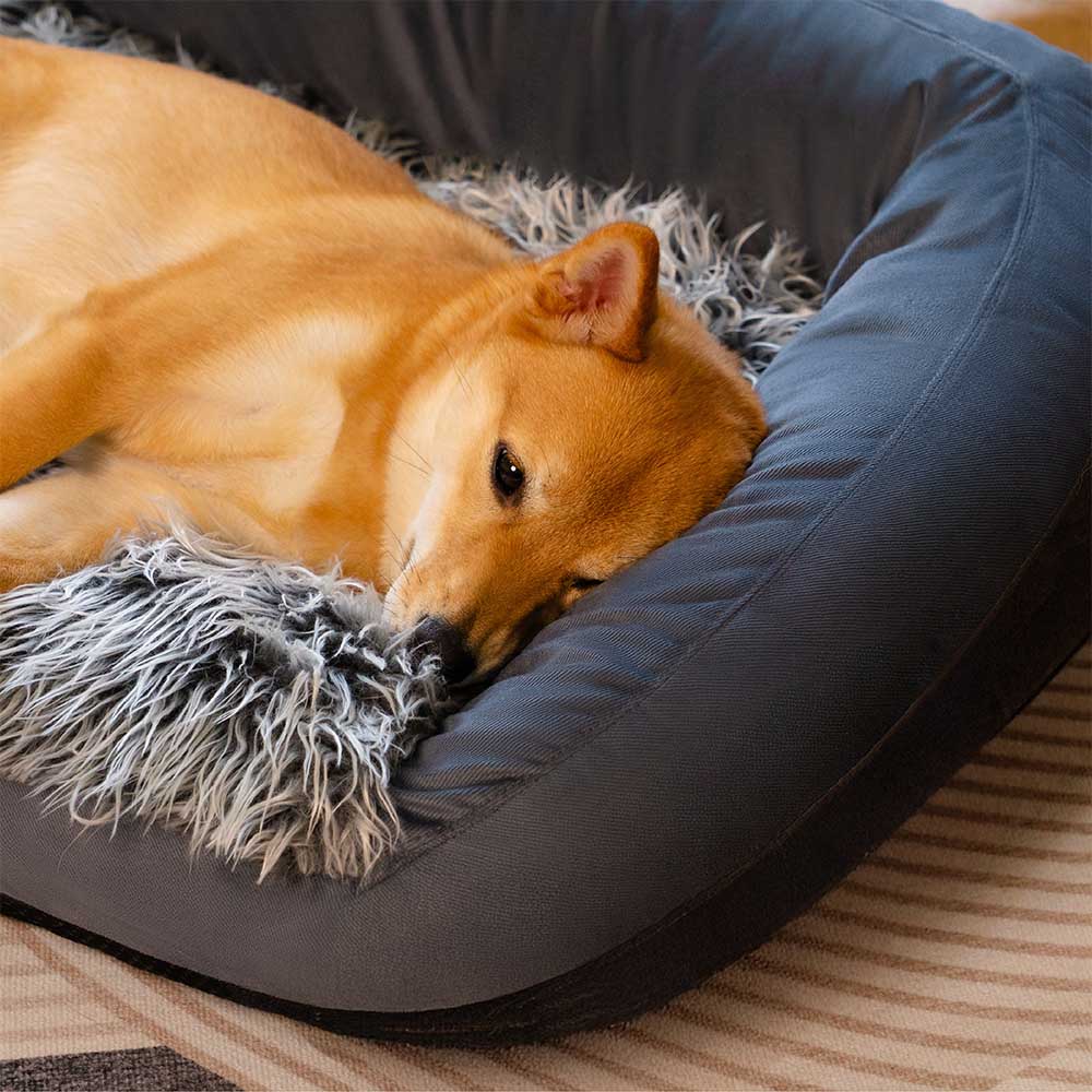 Pet sofa bed with bolster, designed for improved joint support and restful sleep.