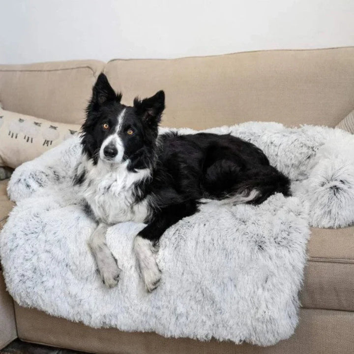 Front view of a rectangular pet sofa bed in a living room, designed for ultimate pet comfort, durable dog bed