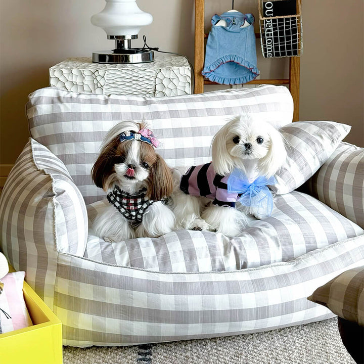 Breathable dog bed, modern pet furniture, sturdy and comfortable for pets