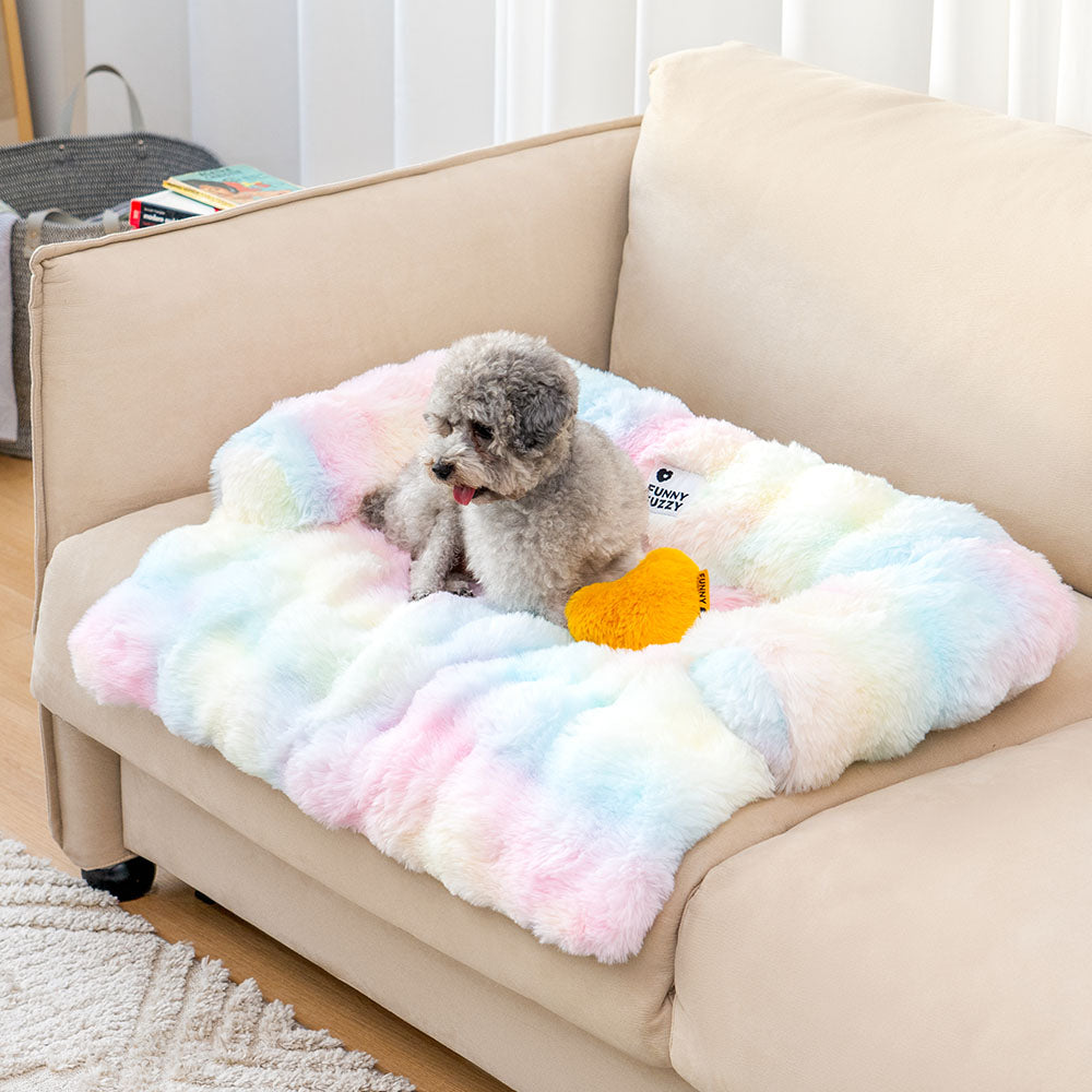 Pet sofa protector and calming dog bed mat in an elegant living room, stylish pet furniture