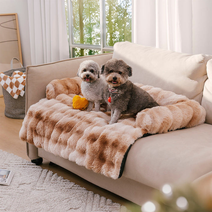 A small dog curled up on a beige calming dog bed mat and sofa protector, soft pet couch cover