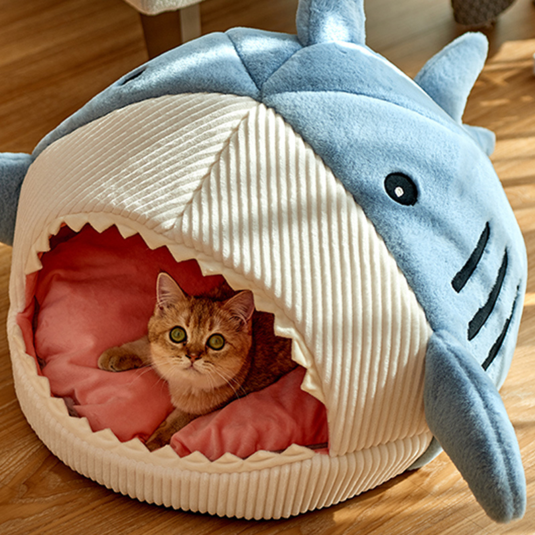 Soft shark-shaped cat bed with plush removable cushion for ultimate pet comfort