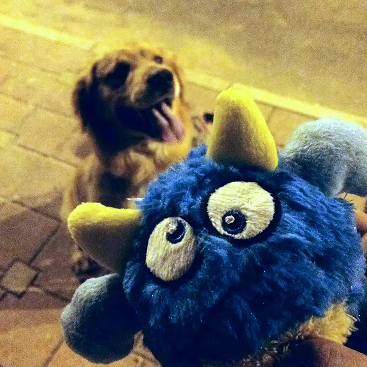Durable plush monster ball, squeaky dog toy for interactive pet play, great for all canines