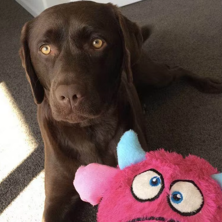 Interactive plush monster ball for dogs, soft multi-textured squeaky pet toy for active canines