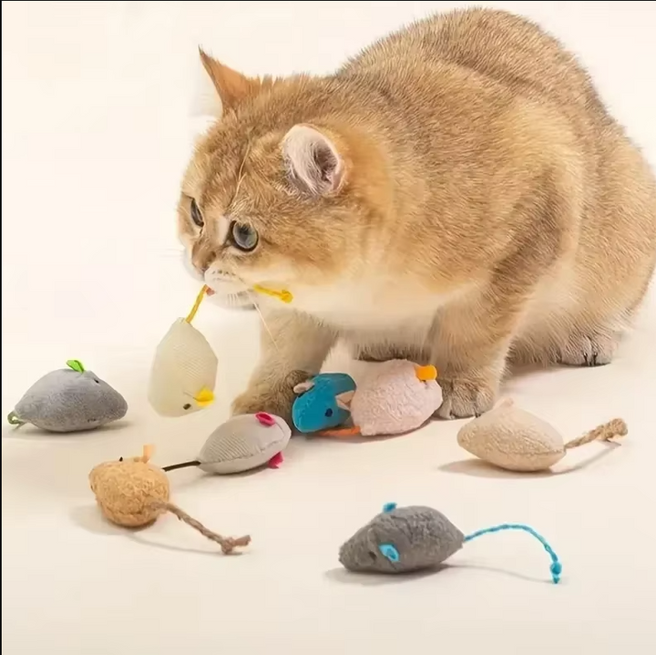 Plush mouse cat toy set, interactive feline play, pet supplies for hunting fun