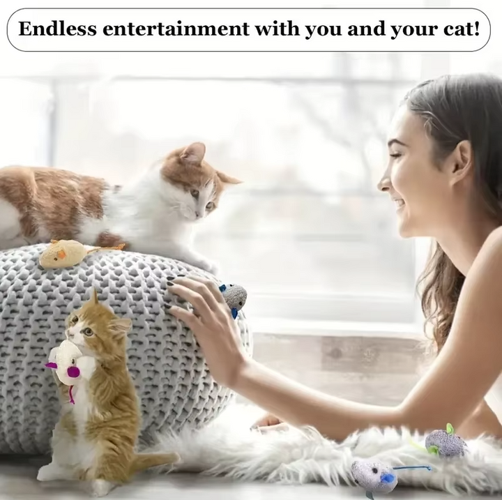Interactive cat plush mice toy, set of three for endless feline entertainment