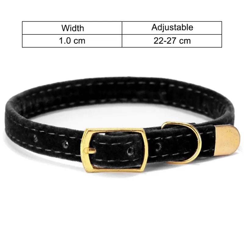 Display of multiple velour cat collars in various colors (blue, red, black, pink) with golden buckles.