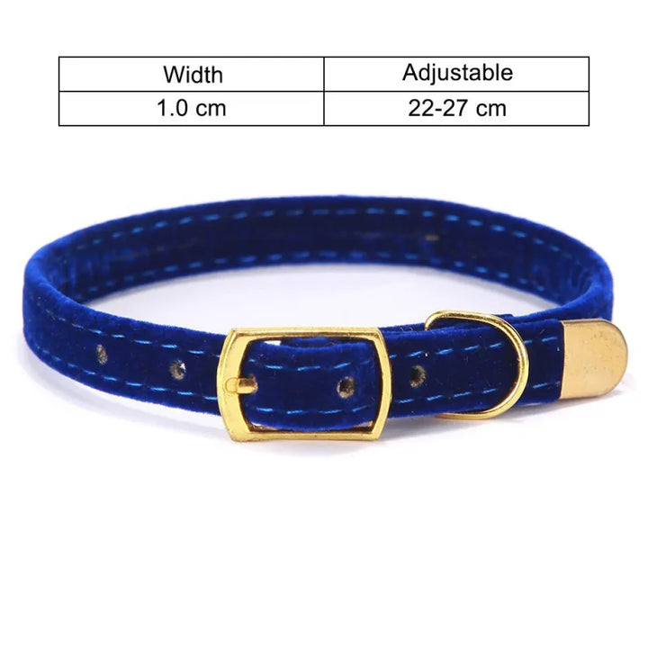 Detailed shot of a golden buckle on a rich purple velour cat collar, emphasizing quality pet accessories.