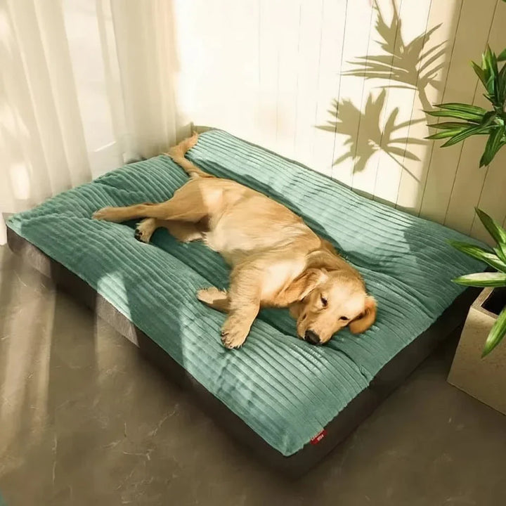 Plush orthopedic dog bed for joint support & deep sleep, suitable for small to large dogs. Durable canine comfort.
