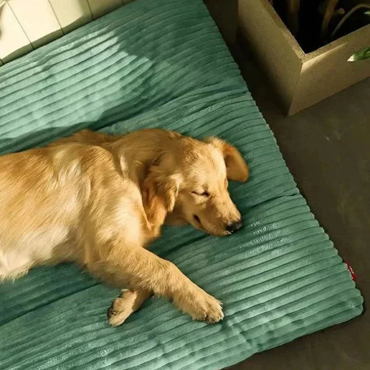 Durable orthopedic dog bed with plush memory foam for optimal joint support, deep sleep & canine comfort. All sizes.