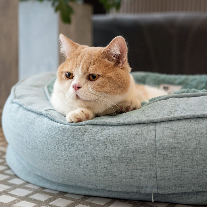 Premium fluffy pet bed, orthopedic and plush, offering excellent joint support for dogs.