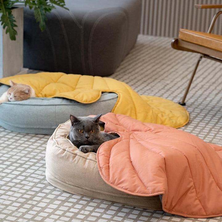 Durable orthopedic donut dog bed, fluffy material, providing warmth and comfort.