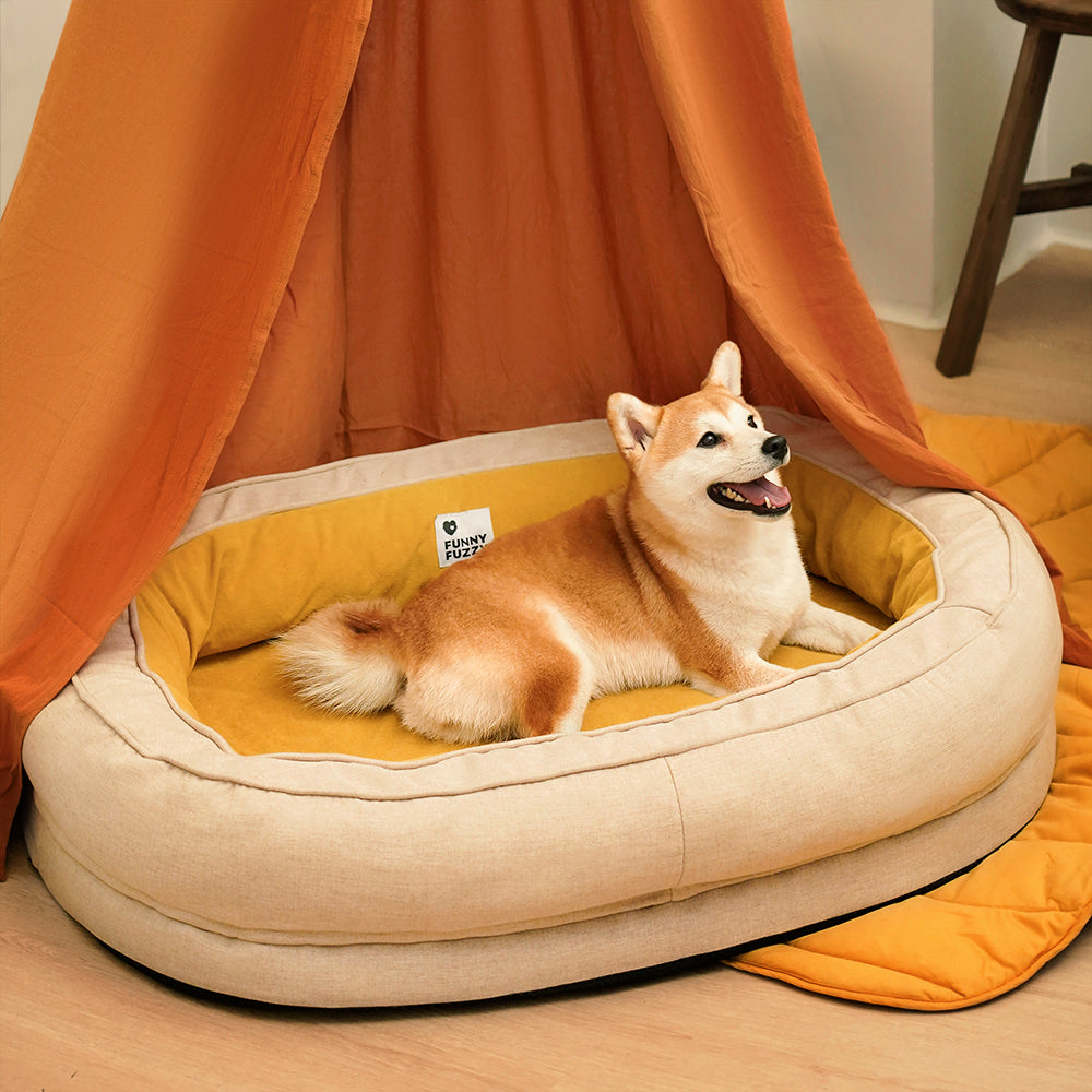 Fluffy orthopedic dog bed, donut shape, providing a sense of security for pets.