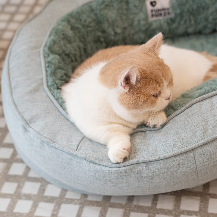 Warm, fluffy orthopedic dog bed, donut shape, offering joint support for small to large dogs.