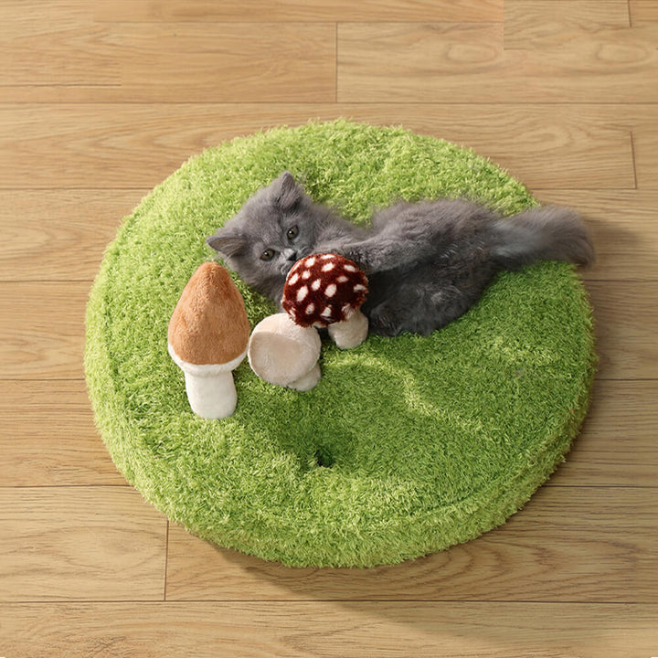 Soft cat bed with removable toys shaped like leaves and a bird, offering both rest and play for pets.
