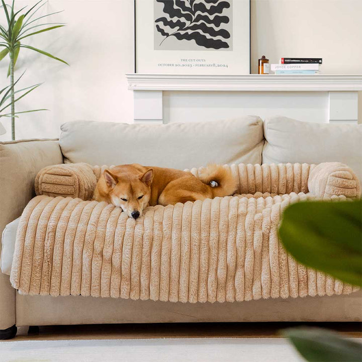 Gray pet couch cover, plush and washable, with bolster support, protects furniture from dog claws and hair.