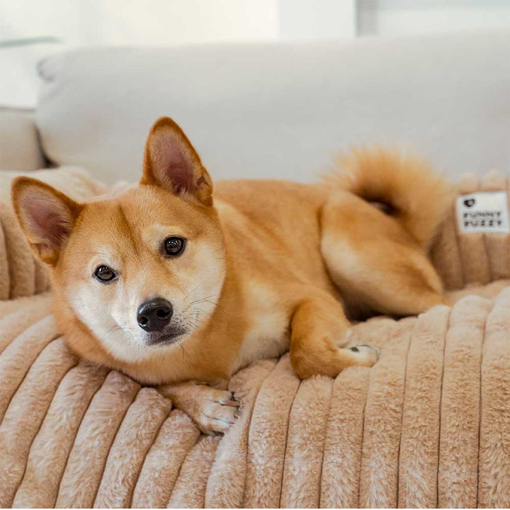 Comfort dog mat: fluffy gray couch cover with integrated bolster, non-slip bottom, washable pet bed.