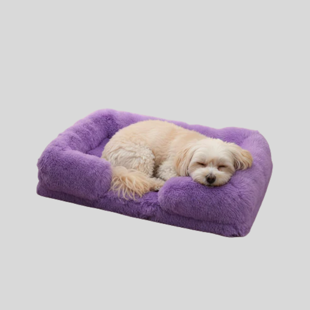 Rectangular pet bed, extra plush padding for ultimate comfort, suitable for all pet sizes.