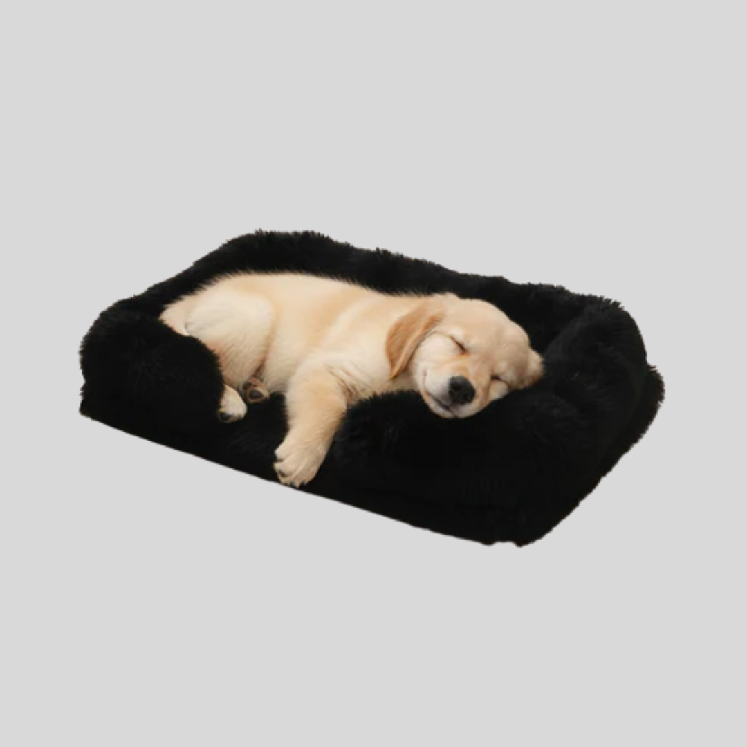 Unisex rectangular dog bed, soft and calming, perfect for small to medium pets. NewArrival.