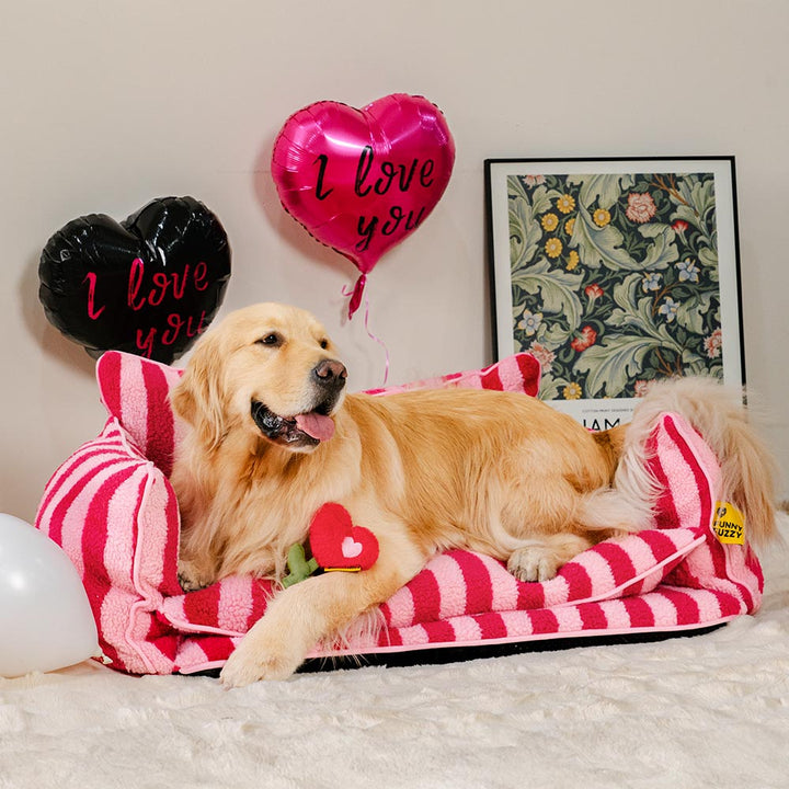 Collection of colorful Pet Rose Plush Squeaky Love Toys, soft and durable dog toys.