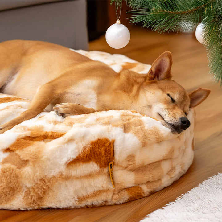 Washable fluffy pet bed, round shape, offering a cozy retreat for dogs.