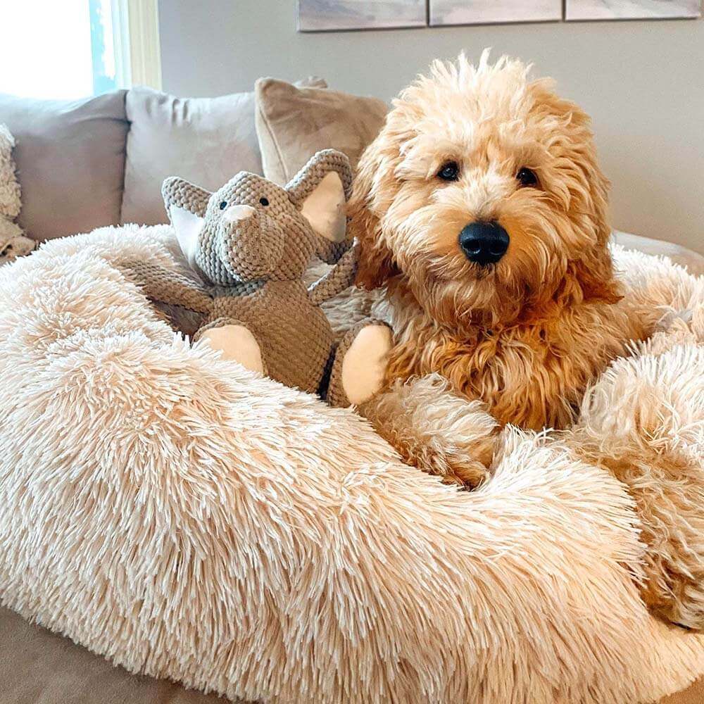 Easy-to-clean washable dog bed, round and plush, in a soothing design