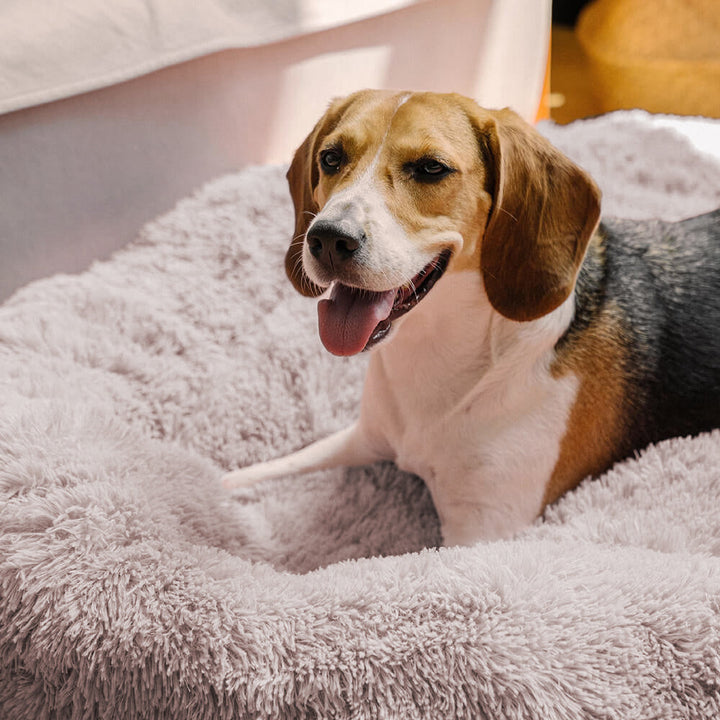 Washable plush pet bed, round and grey, for dog anxiety relief