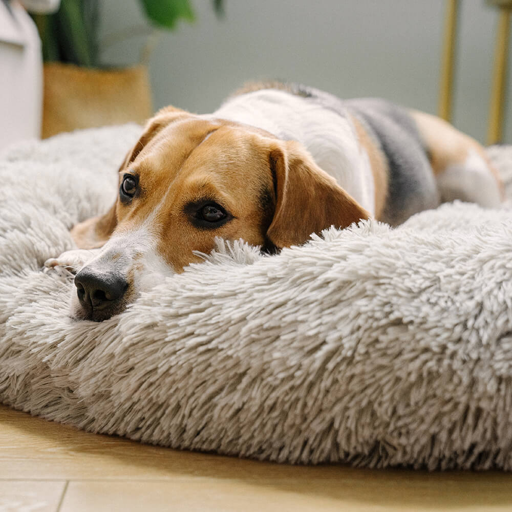 Plush round pet bed, machine washable, excellent for pet anxiety relief