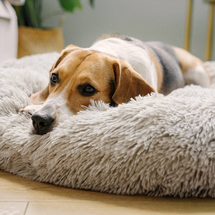 Plush round pet bed, machine washable, excellent for pet anxiety relief