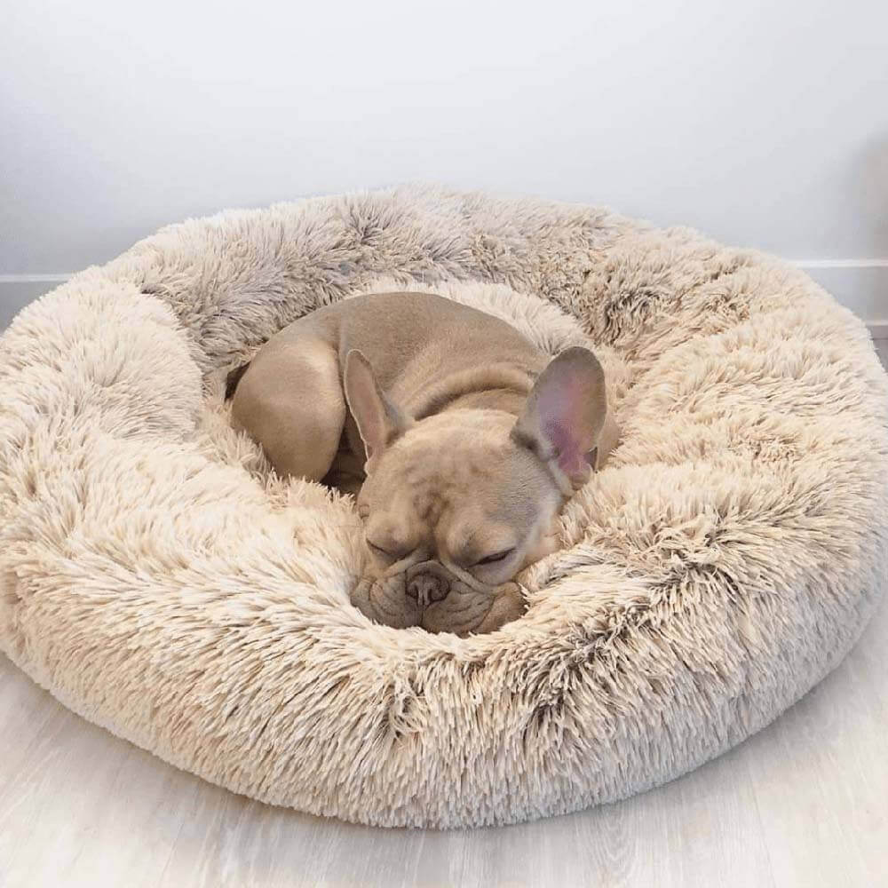 Cozy round pet bed, plush material for dog comfort and anxiety reduction