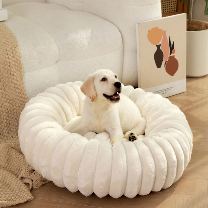 Plush round donut dog bed in a cozy living room, calming design for small pets.