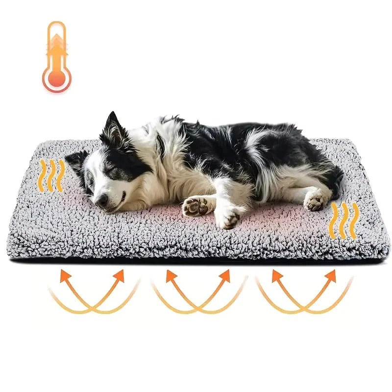 Two pets, a cat and a small dog, sharing a large self-warming pet bed, emphasizing comfort.