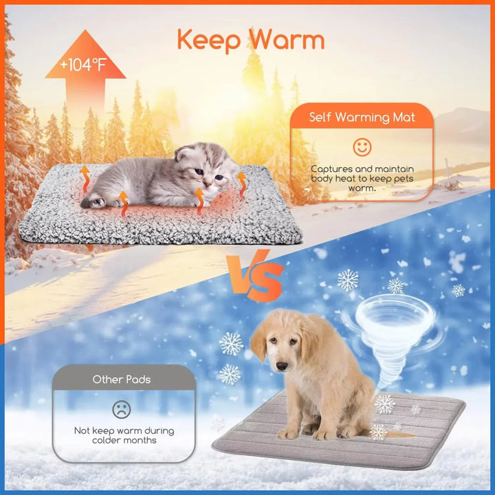 Small self-warming cat bed, cream color, keeping kittens cozy and comfortable. Pet accessories.