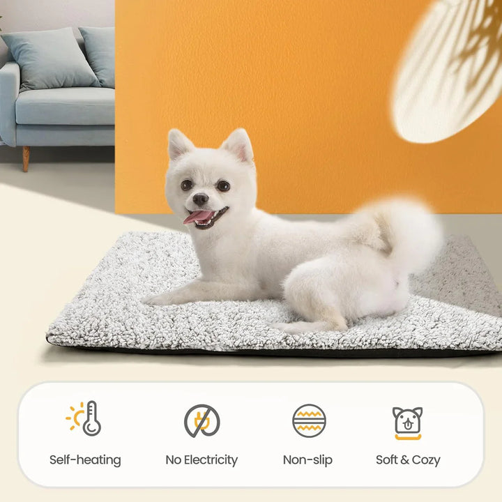 A black self-warming dog bed, square shape, providing joint support for aging pets. Pet comfort.