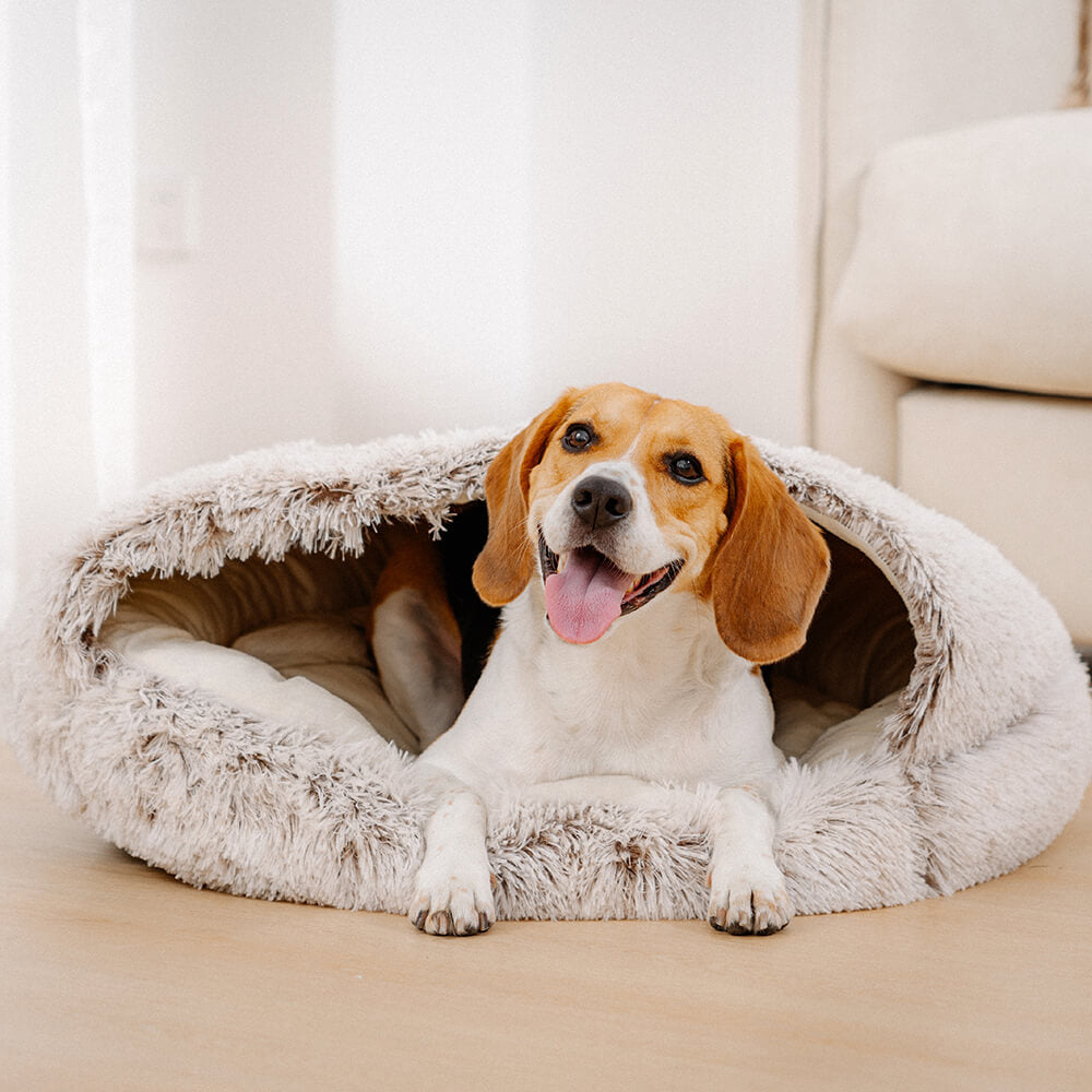 Soft, washable calming dog bed with a semi-enclosed design, perfect for small dogs and cats.