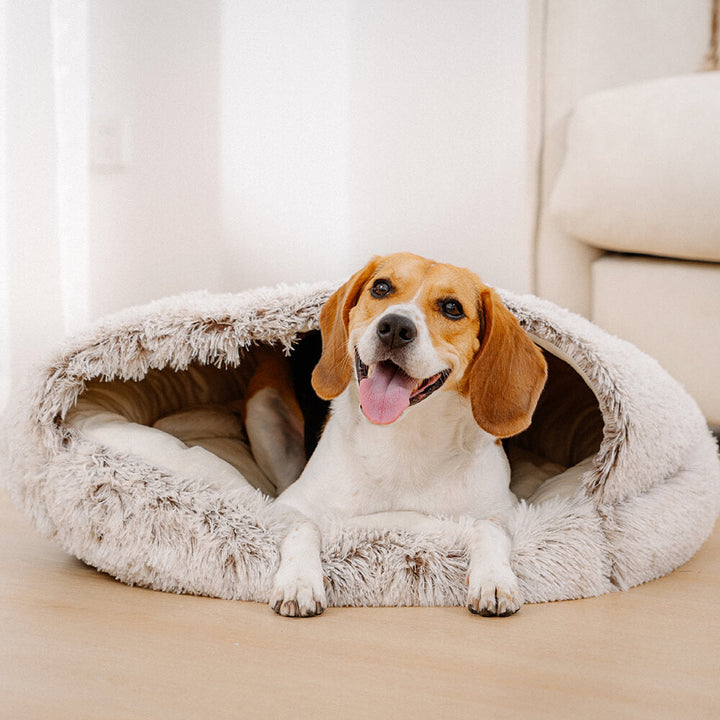 Soft, washable calming dog bed with a semi-enclosed design, perfect for small dogs and cats.