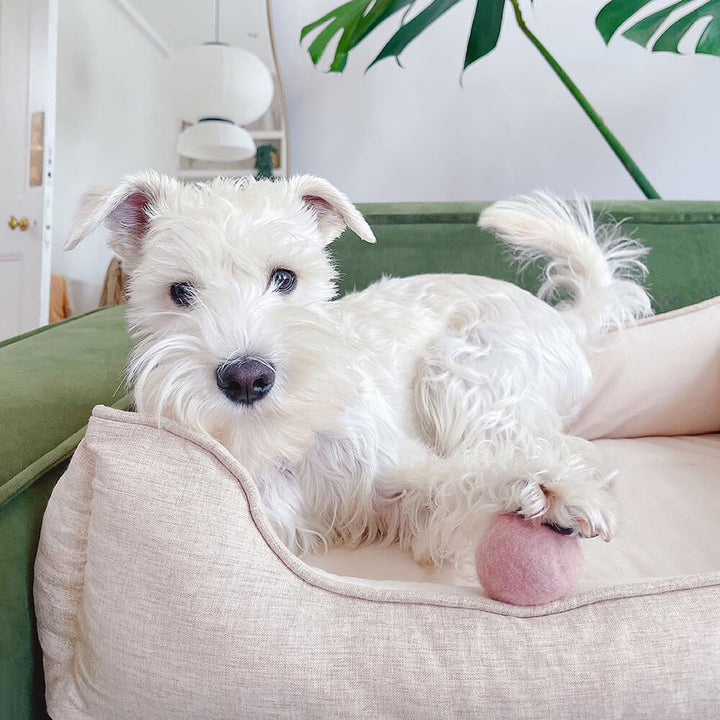 Dog bed 'bread' design, soft plush square for cozy pet naps.
