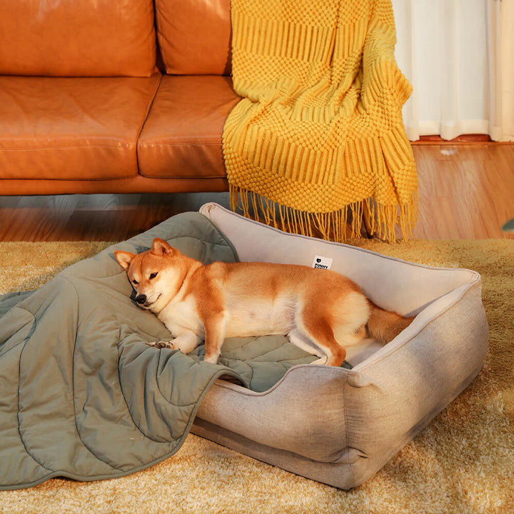 Velvet square dog bed, plush and washable, designed for small to medium pets.