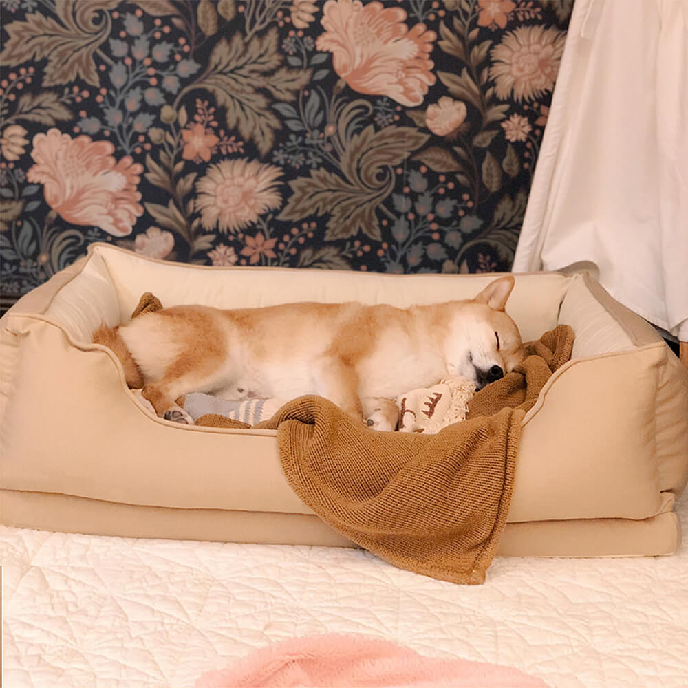 Medium dog comfortably nestled in a soft velvet square bread dog bed.
