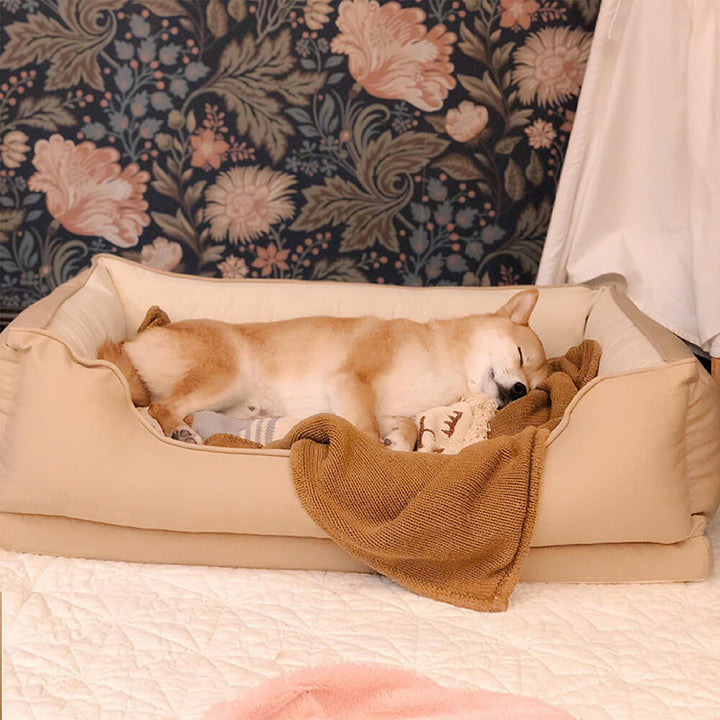 Medium dog comfortably nestled in a soft velvet square bread dog bed.